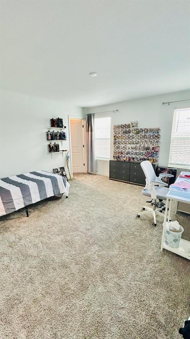 bedroom featuring multiple windows and carpet