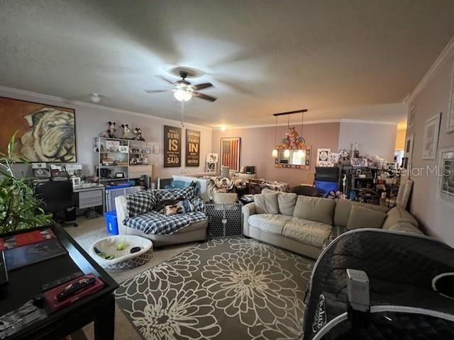 living room with ceiling fan, carpet floors, and crown molding