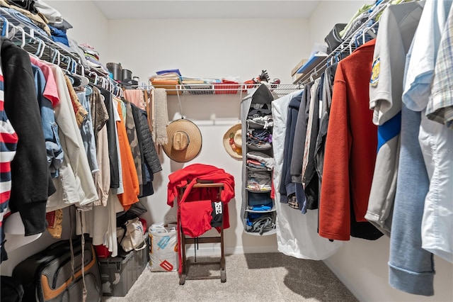 spacious closet featuring carpet