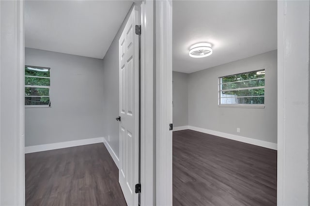 interior space featuring dark wood-type flooring