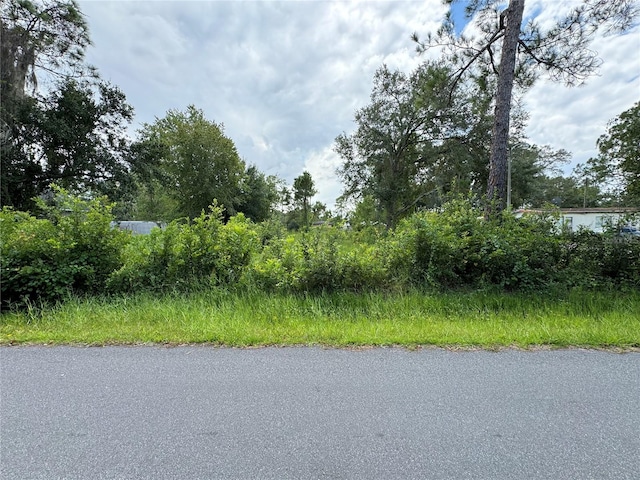 5110 Hibiscus Rd, Kissimmee FL, 34746 land for sale