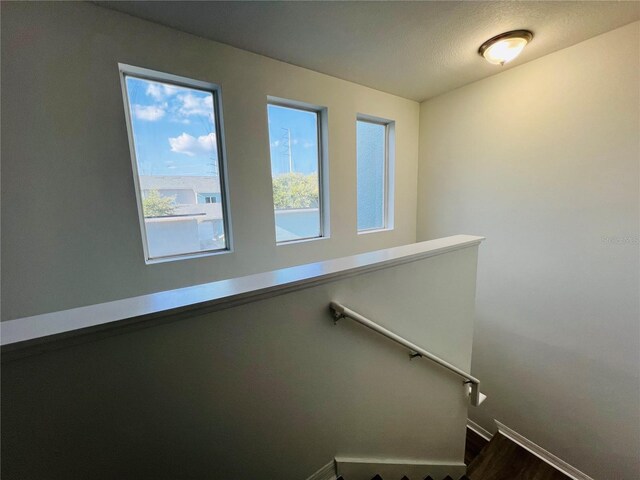 stairway with hardwood / wood-style flooring