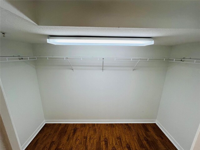 spacious closet featuring wood-type flooring