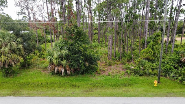 Listing photo 3 for 12042 Kaft Ave, Port Charlotte FL 33953