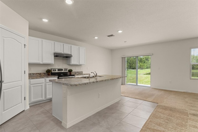 kitchen with plenty of natural light, sink, an island with sink, and stainless steel electric stove