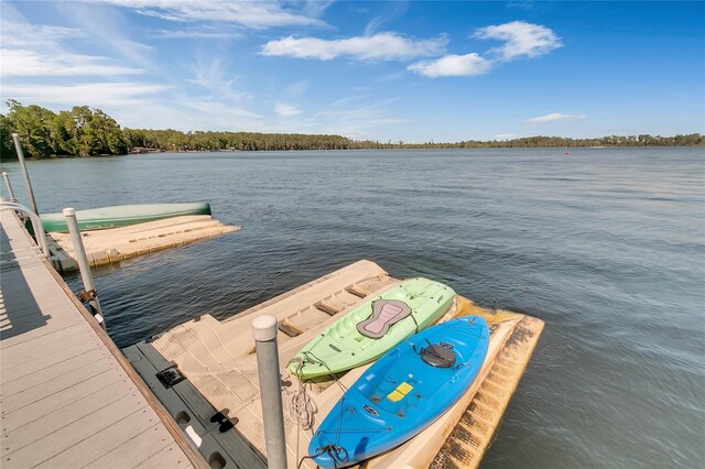 dock area with a water view