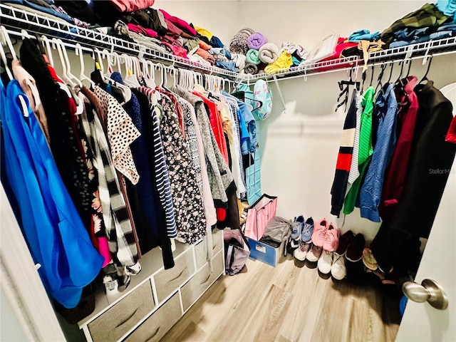 walk in closet with wood-type flooring