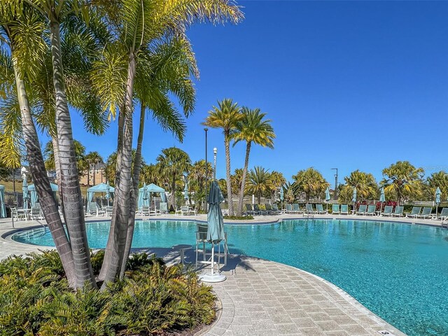 view of pool featuring a patio