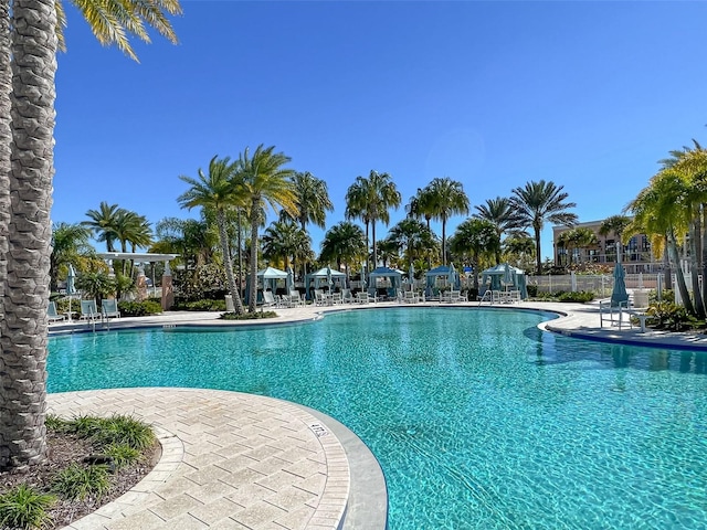 view of pool with a patio area