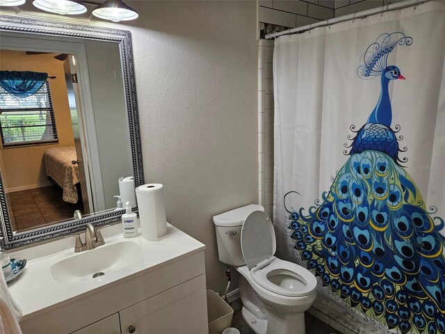 bathroom featuring toilet, vanity, and curtained shower