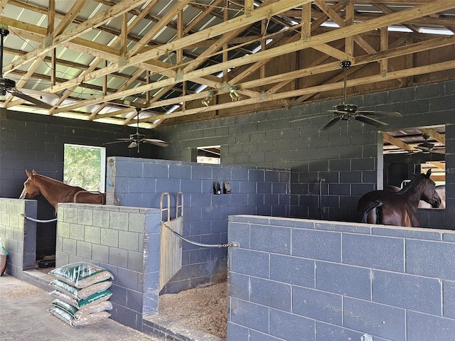 view of horse barn