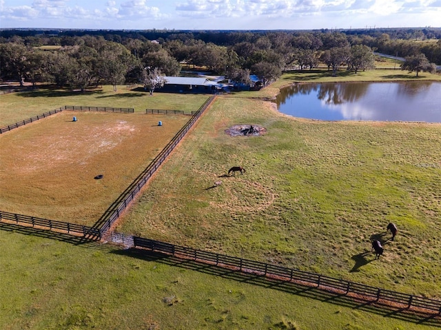 birds eye view of property with a water view and a rural view