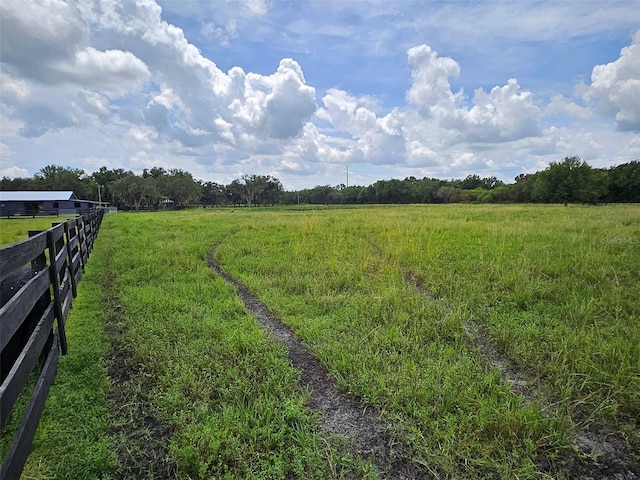 view of yard with a rural view