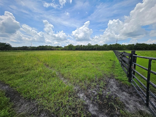 view of yard with a rural view