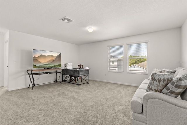 interior space with light carpet and a textured ceiling