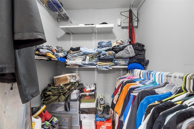 view of spacious closet