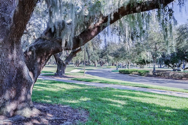 view of home's community featuring a yard