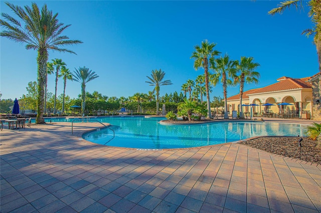 view of swimming pool with a patio