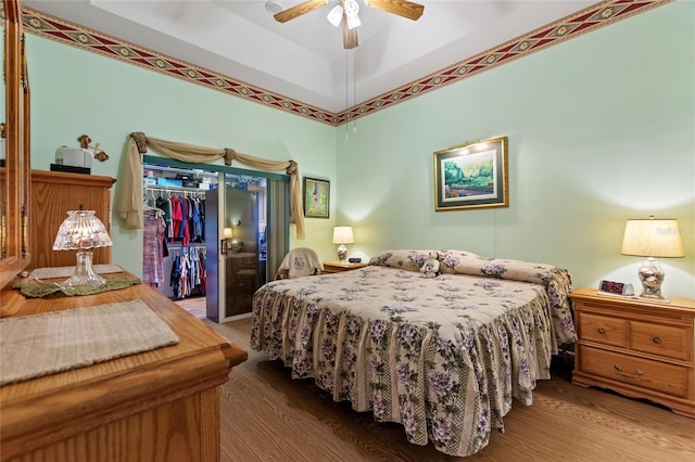 bedroom with ceiling fan, a walk in closet, a closet, and wood finished floors