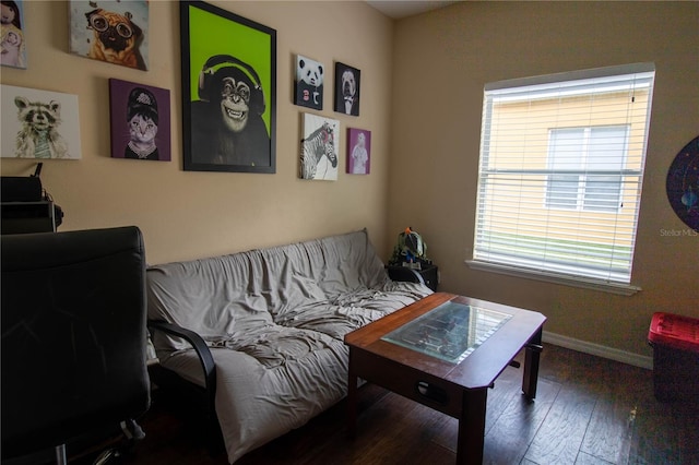 living room with hardwood / wood-style flooring