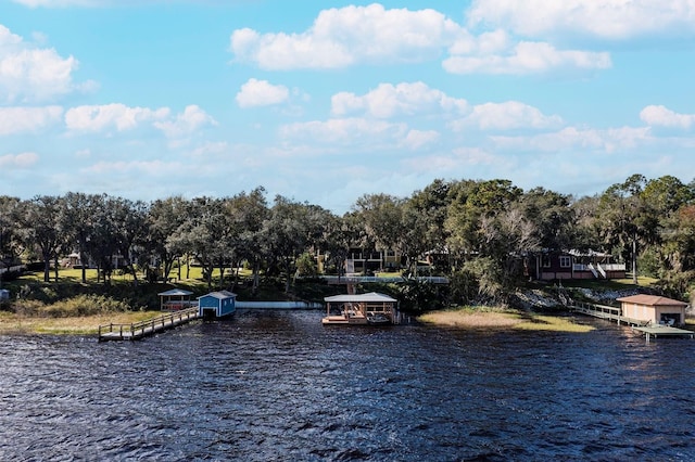 view of water feature featuring a boat dock