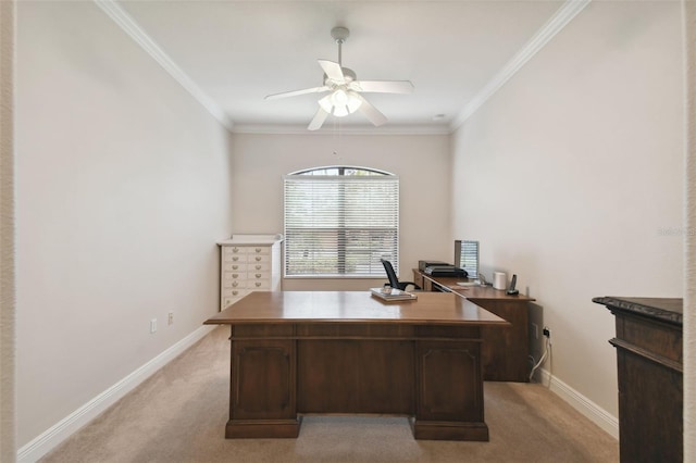 carpeted home office with ceiling fan and crown molding