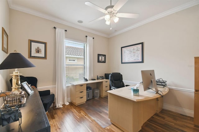 office space featuring ceiling fan, dark hardwood / wood-style floors, and ornamental molding