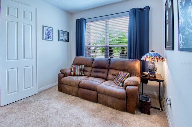 living room with light carpet