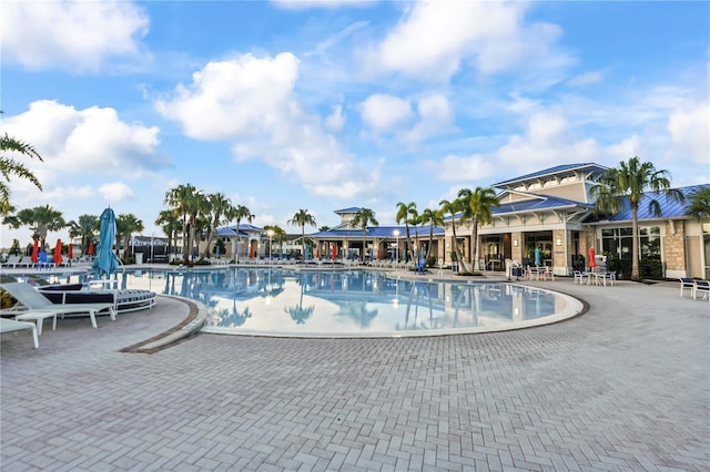 view of pool featuring a patio area