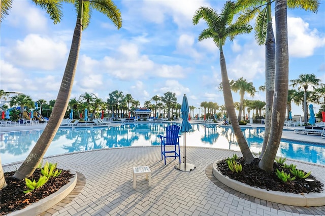 view of swimming pool