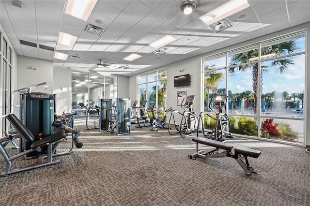 gym featuring carpet flooring and a drop ceiling