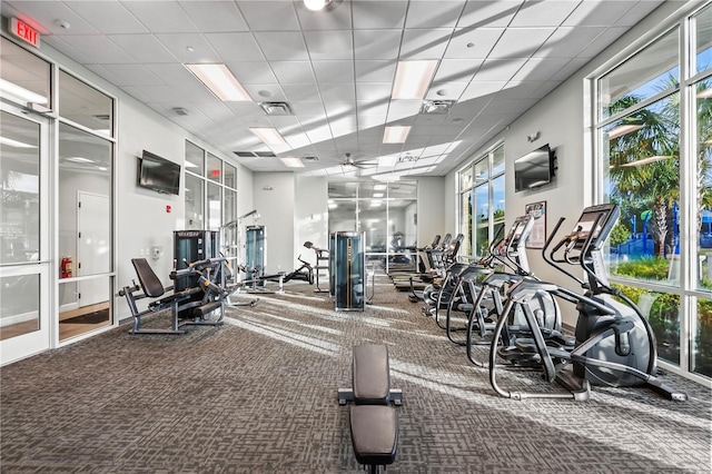 gym featuring a drop ceiling and carpet floors