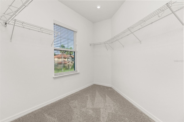 walk in closet featuring carpet floors