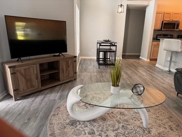 living room with dark hardwood / wood-style floors