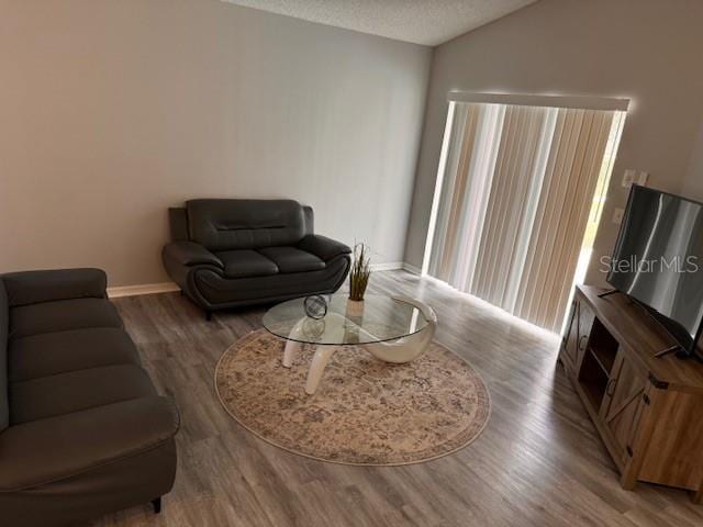 living room featuring a textured ceiling and hardwood / wood-style flooring