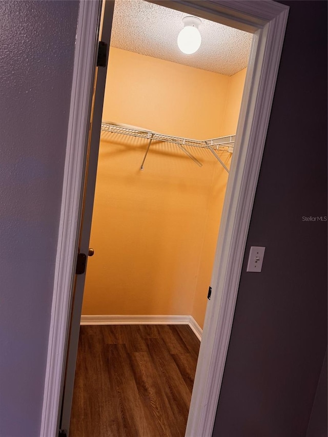 walk in closet with dark hardwood / wood-style flooring