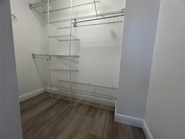 walk in closet with wood finished floors