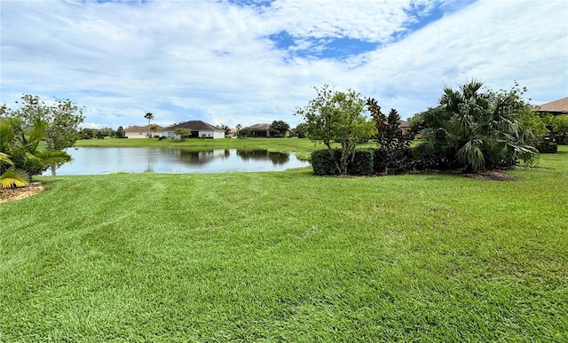 view of yard with a water view