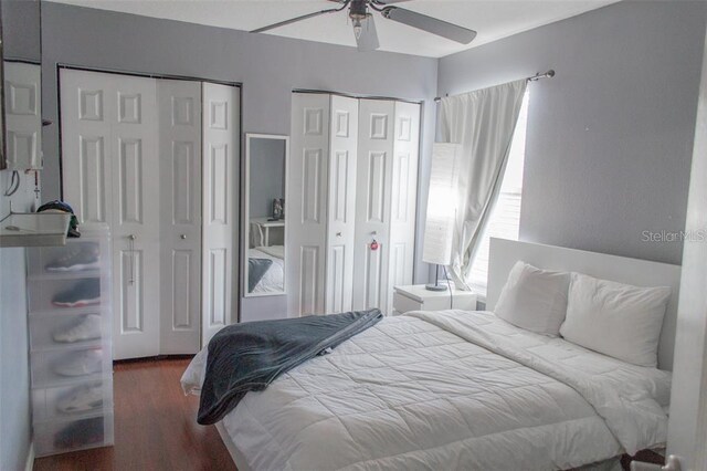 bedroom featuring ceiling fan, dark hardwood / wood-style flooring, and multiple closets