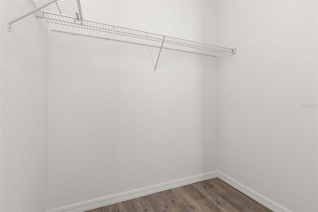 spacious closet with dark wood finished floors