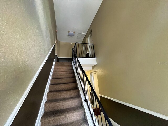 staircase with carpet flooring