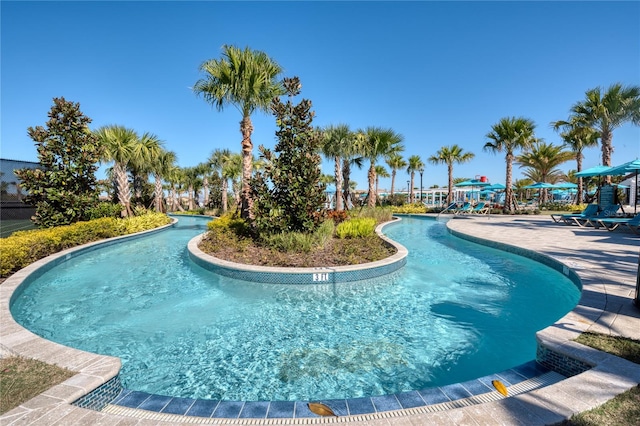 view of swimming pool