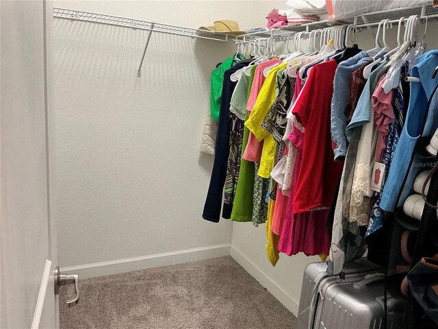 spacious closet with carpet flooring