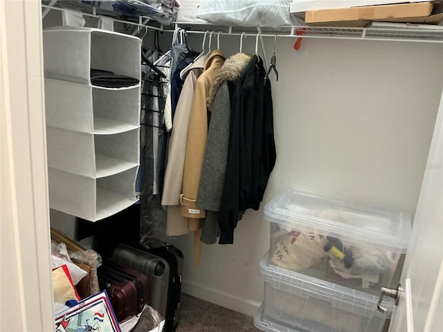 spacious closet featuring carpet flooring