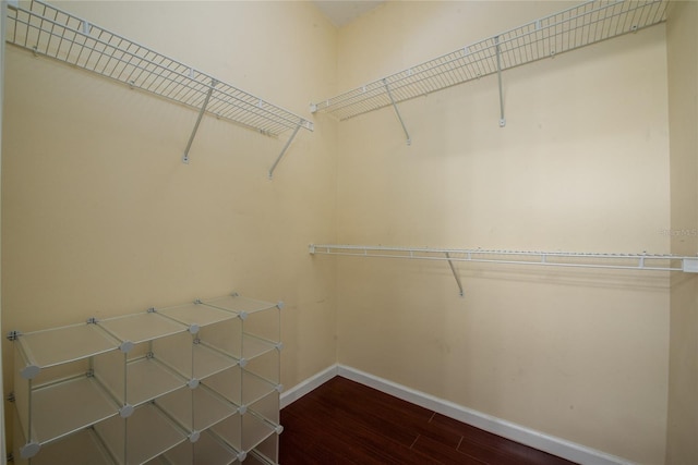 walk in closet with wood finished floors