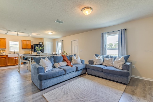 living room with light wood-type flooring, a textured ceiling, and sink