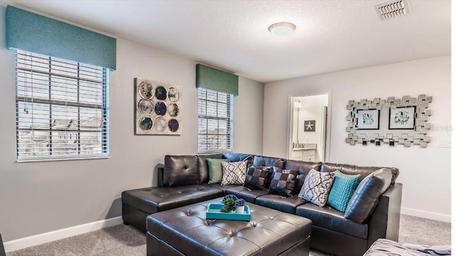 carpeted living room featuring a textured ceiling