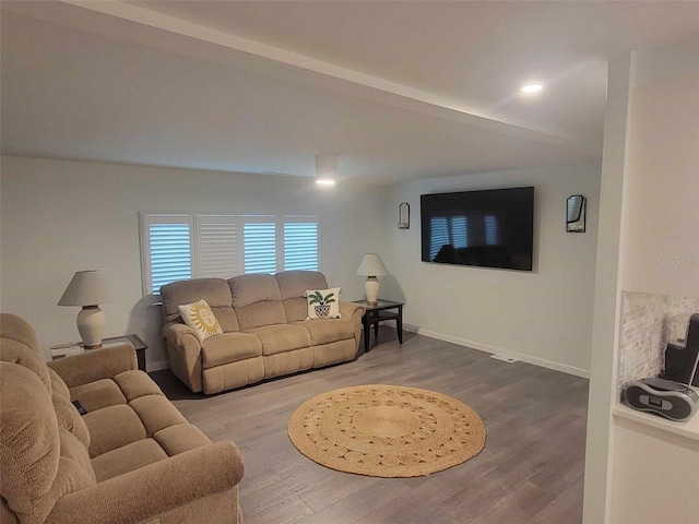 living room featuring wood-type flooring