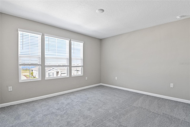 empty room with carpet and a textured ceiling