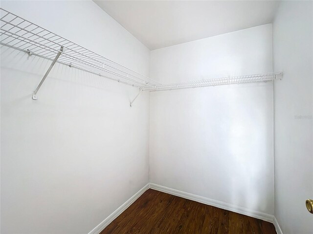 spacious closet with wood-type flooring